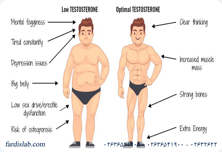 Symptoms of low testosterone levels in men