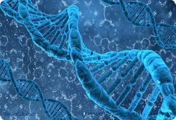 نقش dna در آزمایش تعیین هویت