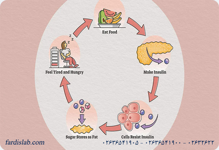 مقاومت به انسولین و دیابت نوع ۲ مقاومت به انسولین و دیابت نوع ۲