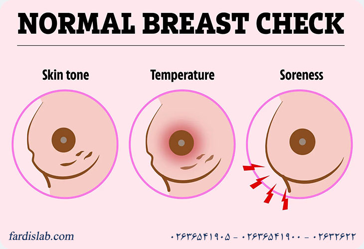 پستان طبیعی چگونه است؟