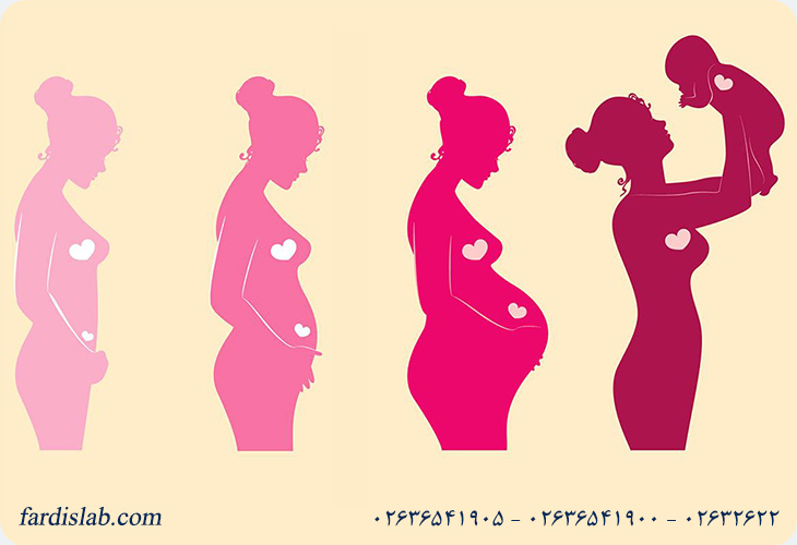 بهترین زمان انجام غربالگری سه‌ماهه اول بارداری