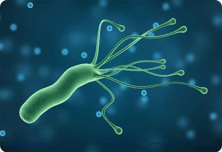 آیا هلیکوباکتر پیلوری قابل انتقال است؟ 