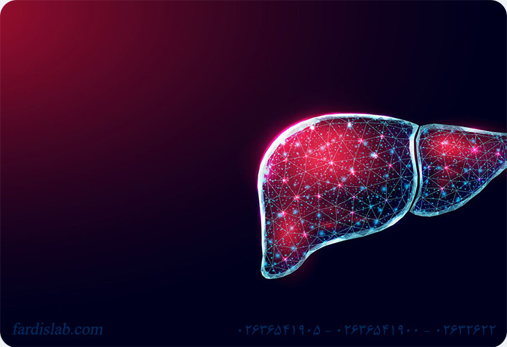 مهمترین وظیفه کبد چیست؟ مهمترین وظیفه کبد چیست؟