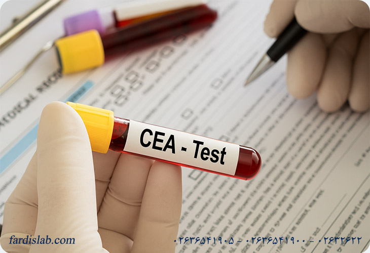 خطاها و محدودیت‌های آزمایش CEA
