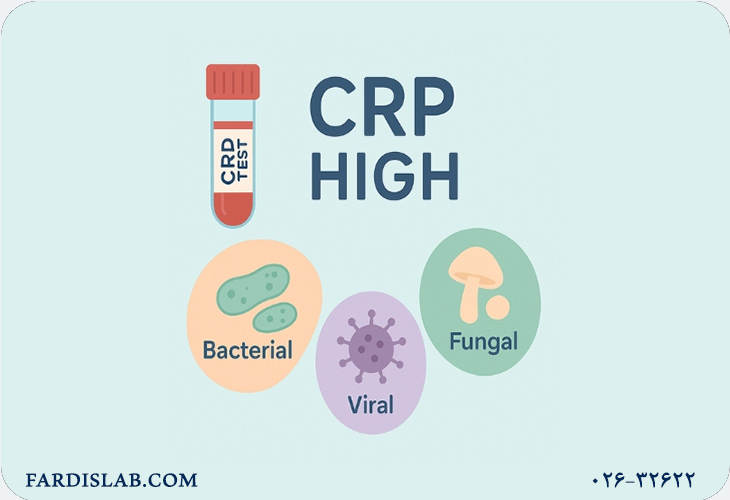 آیا CRP میتواند عفونت باکتریایی را از ویروسی تشخیص دهد؟ آیا CRP میتواند عفونت باکتریایی را از ویروسی تشخیص دهد؟