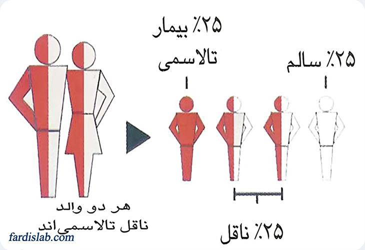 تالاسمی ماژور