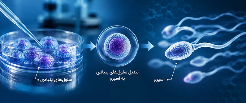 تولید اسپرم از سلول‌های بنیادی