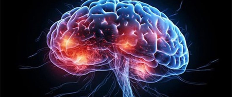 روند تحلیل مغز بعد از 39 سالگی