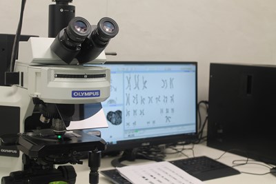 تشخیص مولکولی و PCR 2