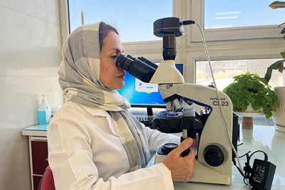 آسيب شناسی و ايمونوهيستوشيمی 3