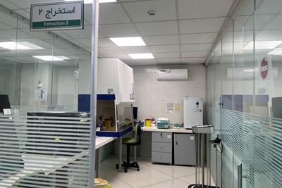 تشخیص مولکولی و PCR 4