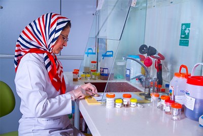 آسيب شناسی و ايمونوهيستوشيمی 1